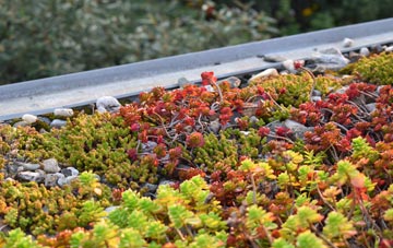 the cost of Osmaston green roof installation