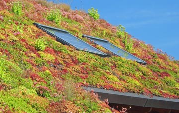 Osmaston living roof systems