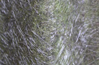 Osmaston fibreglass roof work